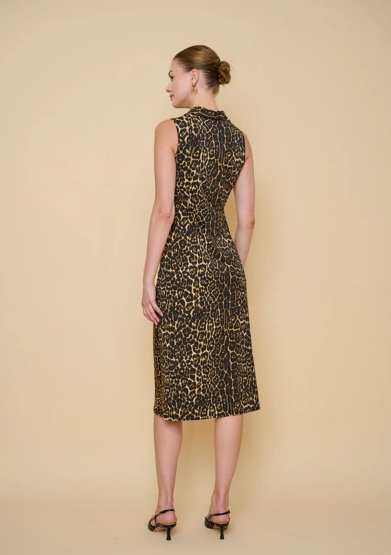 Adrianne Dress