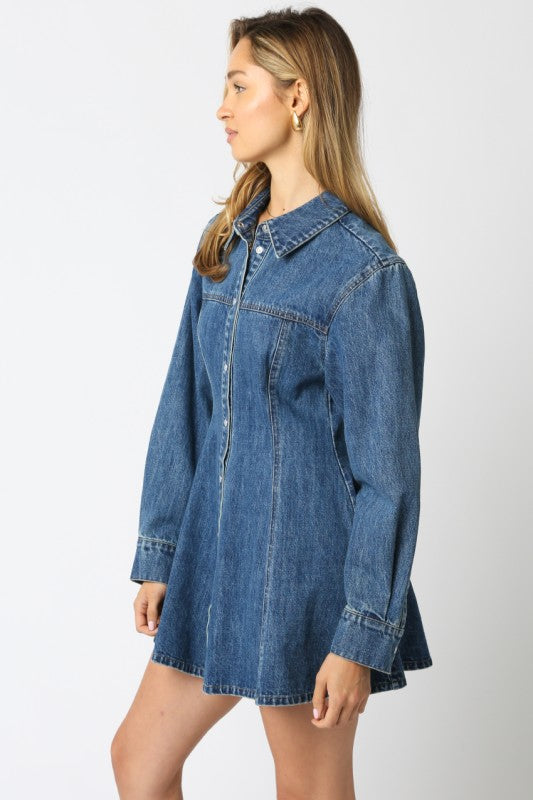 Denim Button Dress