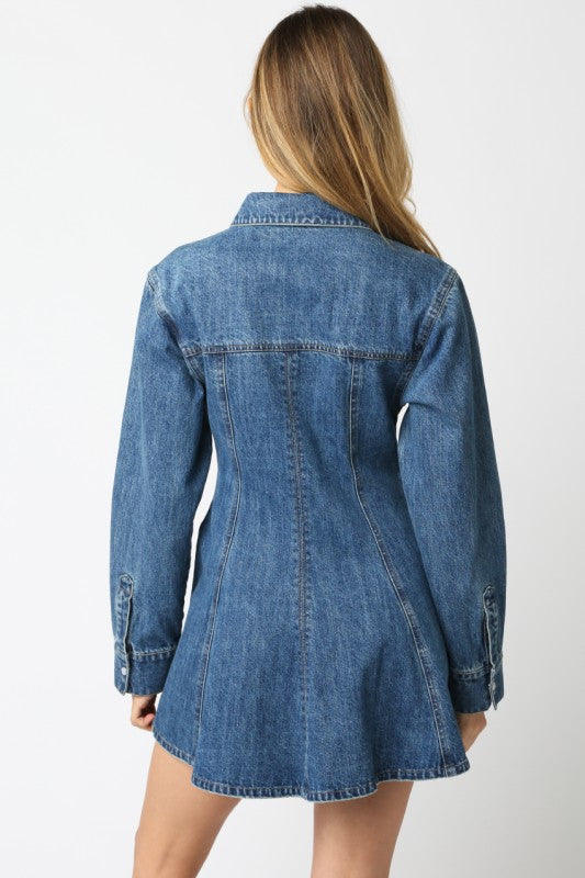 Denim Button Dress