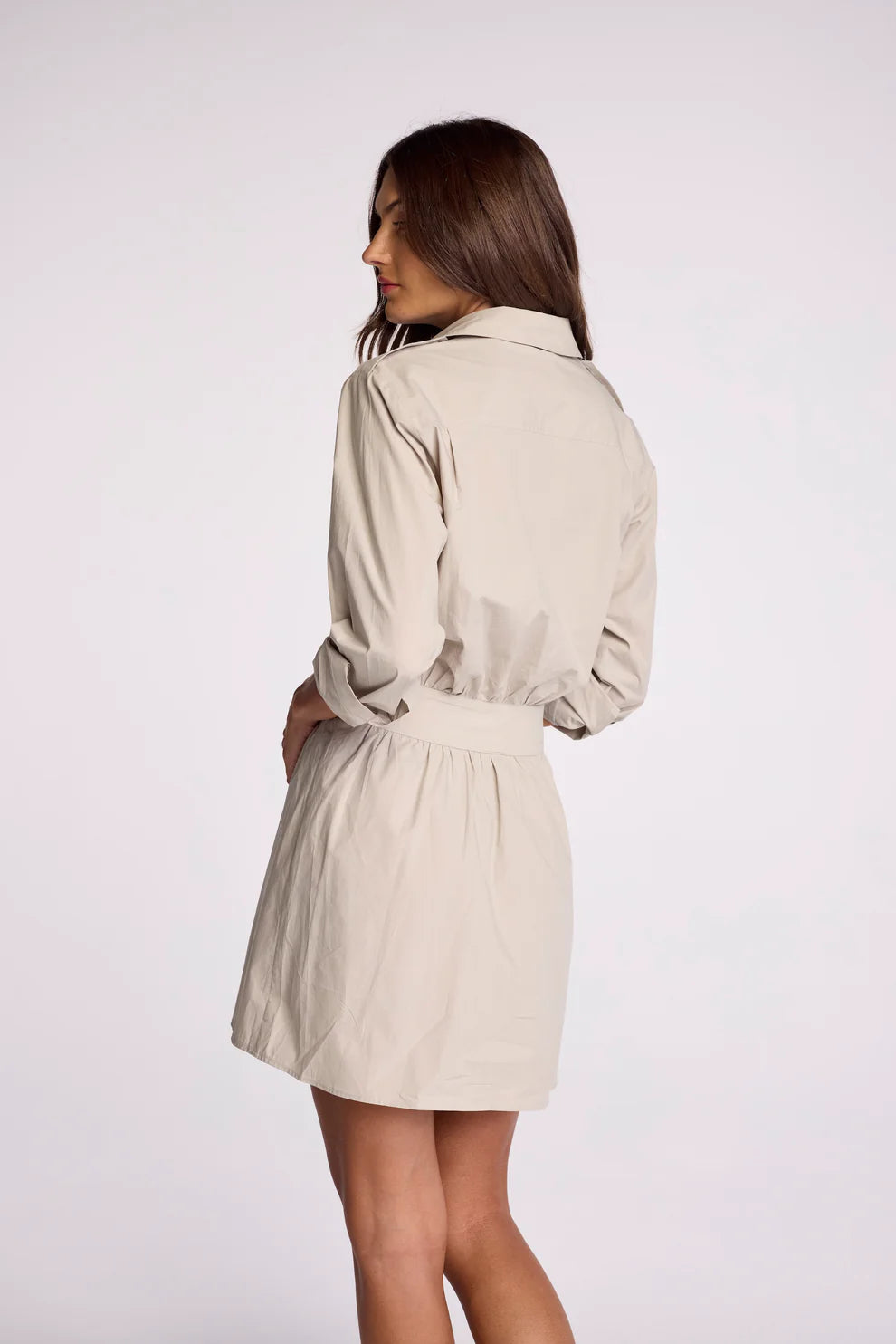 Asterin Dress