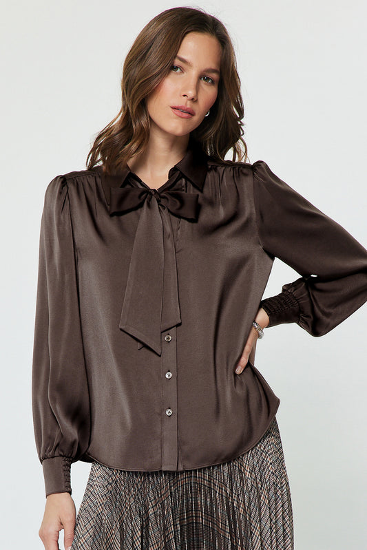 Brown Silk Top