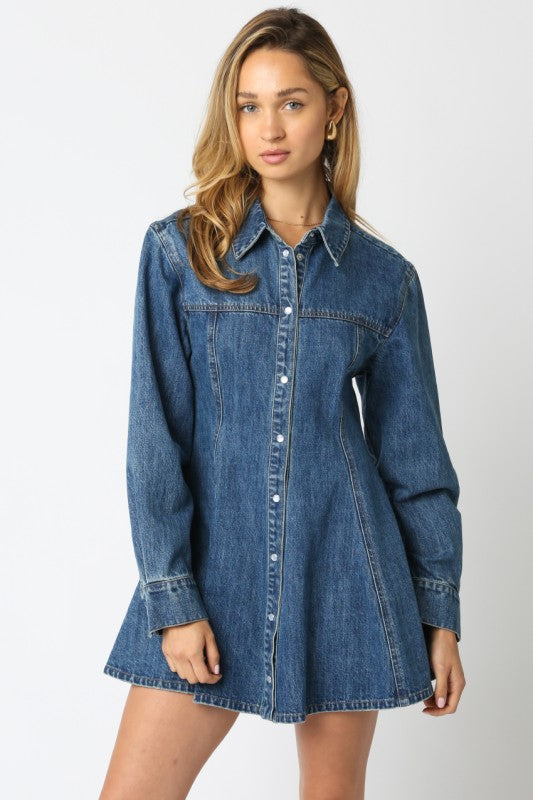 Denim Button Dress