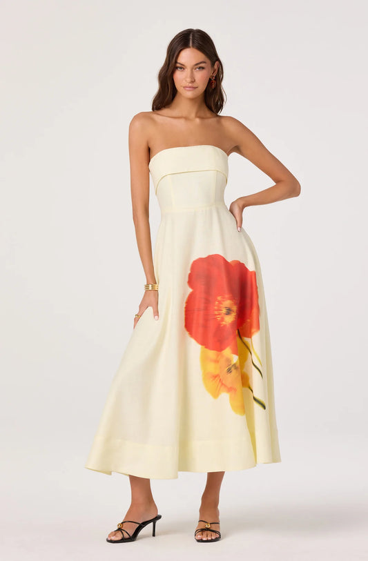 Ximena dress