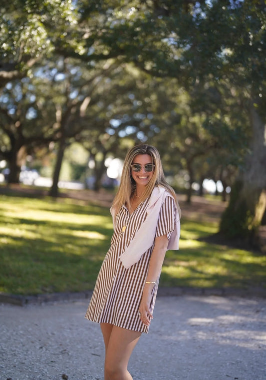 Brown and White Striped Anna Mini